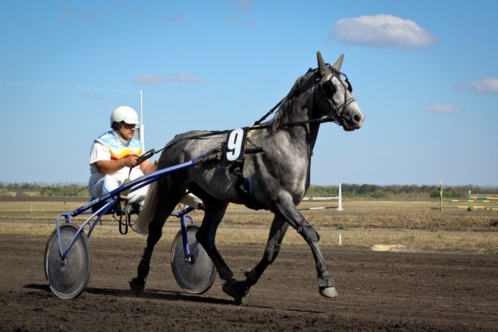 Grey_Orlov_Trotter